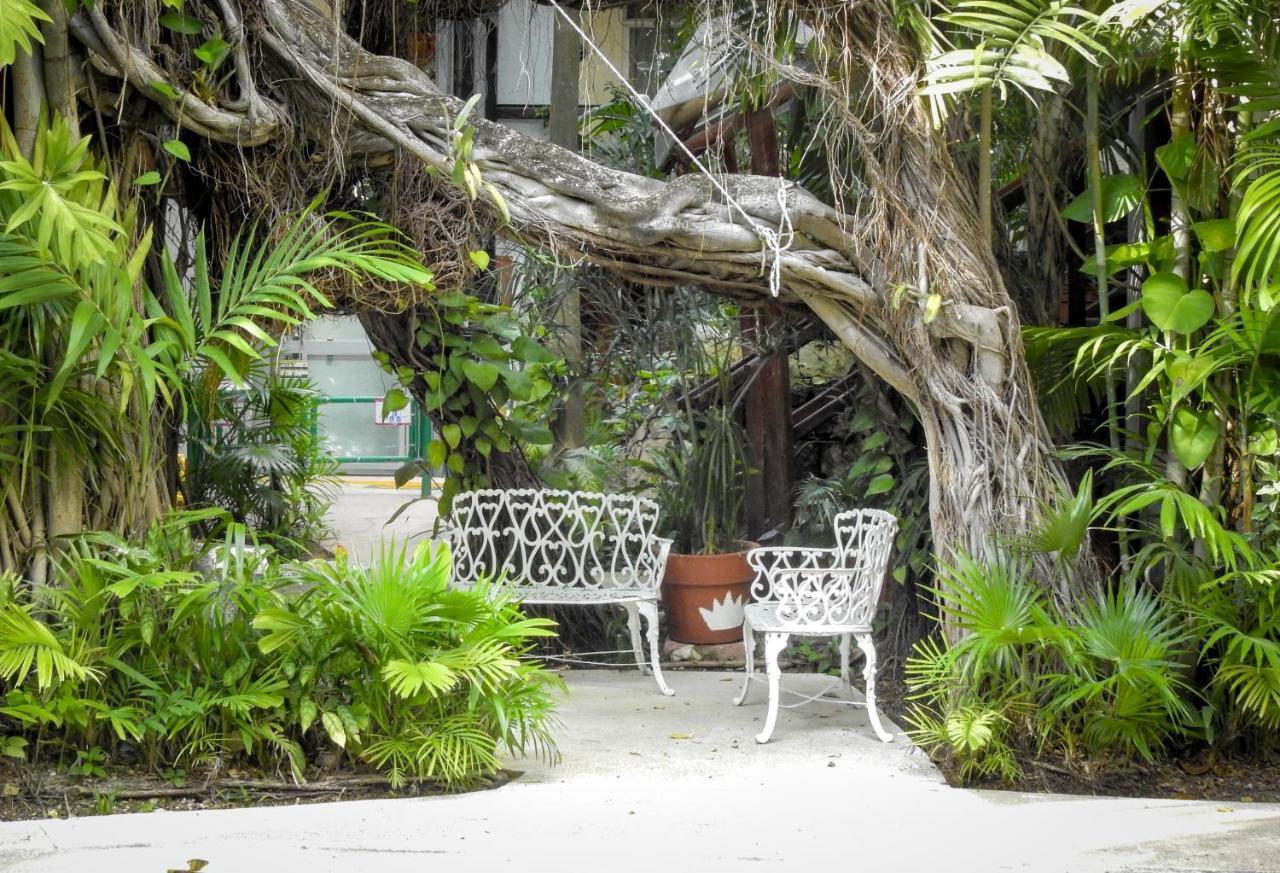 Eco-Hotel El Rey Del Caribe Cancun Ngoại thất bức ảnh