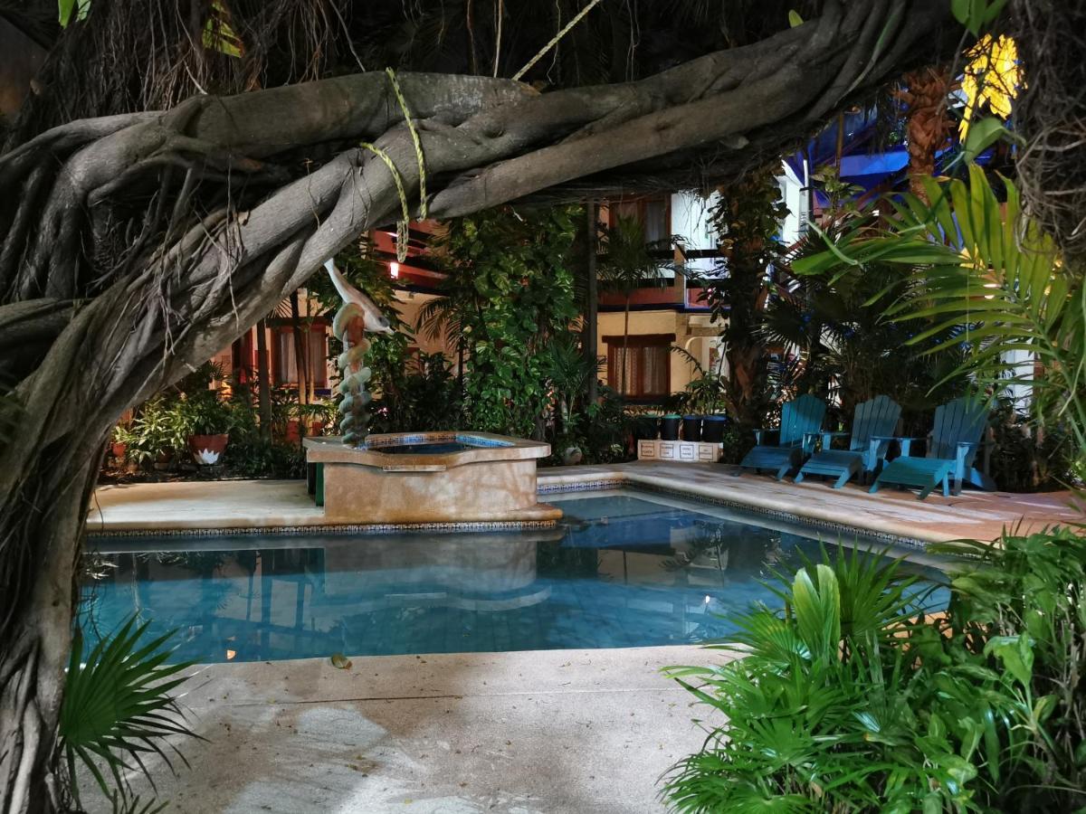 Eco-Hotel El Rey Del Caribe Cancun Ngoại thất bức ảnh