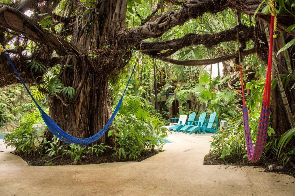 Eco-Hotel El Rey Del Caribe Cancun Ngoại thất bức ảnh
