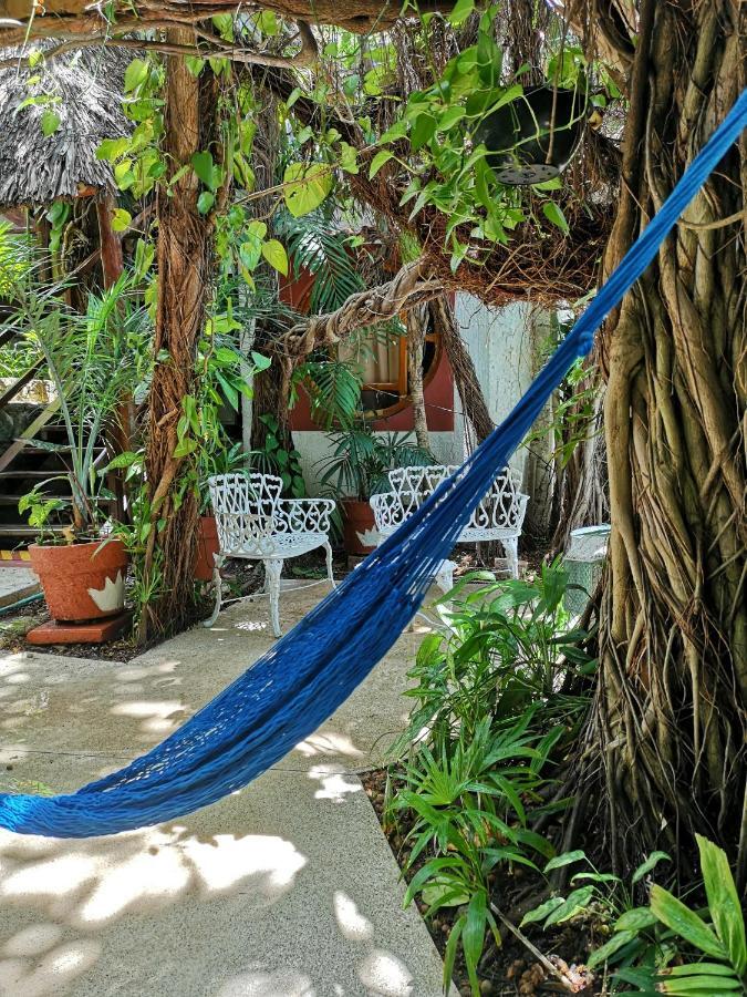 Eco-Hotel El Rey Del Caribe Cancun Ngoại thất bức ảnh