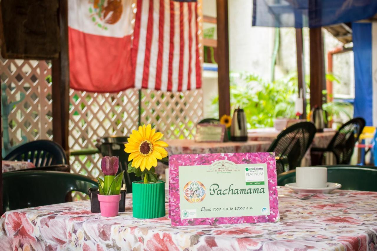 Eco-Hotel El Rey Del Caribe Cancun Ngoại thất bức ảnh